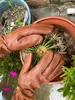 Rosenhandschuhe Gartenhandschuhe lange Stulpe Stachelschutz Produktbild-Vorschau 3