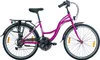 26 Zoll Luchs "Feline" Cityrad Hollandrad Citybike Produktbild-Vorschau 1