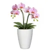 3 x  Orchideentopf aus Keramik Ø 13,5 cm x 17 cm hoch - Produktbild-Vorschau 5