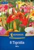 Kiepenkerl Tigerblume Tigridia Mix 8 Pflanzen Produktbild-Vorschau 1
