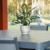 Keramische pot, plantenpot, bloempot, overpot, plantenbak, Productafbeelding-voorbeeld 8