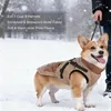 Winter Hundemantel für kleine und mittelgroße Hunde, Produktbild-Vorschau 2