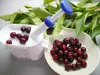 Odkôstkovač čerešní - BIOWIN Náhľad obrázku produktu 18