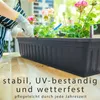 Balkonkasten mit Wasserstandsanzeiger, Pflanzkasten 3er Produktbild-Vorschau 11