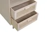 SalesFever Kommode mit Rattan Front | 2 Schubladen und 1 Produktbild-Vorschau 6