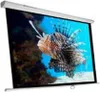Phoenix Technologies PHPANTALLA-200, 1:1, 200 x 200 cm, Produktbild-Vorschau 1
