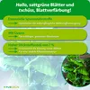 Purgrün Kaffeepflanze-Dünger 1 Liter Produktbild-Vorschau 3