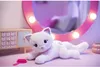 A white plush cat toy is lying on a pink surface in front of a vanity mirror with lights. Anteprima dell’immagine prodotto