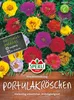 SPERLI Portulakröschen Prachtmischung Portulaca grandiflora Produktbild-Vorschau 3