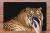 MuchoWow® Schreibtischunterlage Tiger - Gähnen - Schwarz Produktbild-Vorschau 3