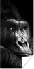 MuchoWow® Poster Gorilla - Affe - Schwarz - Weiß - Porträt Produktbild-Vorschau 1