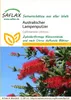 SAFLAX  - Callistemon - 400 graines - Callistemon Voir les images du produit 5