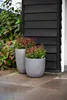 Two planters with plants in front of a dark wooden wall. Produktbild-Vorschau