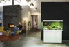 Juwel Rio 450 LED biały - akwarium Juwel Podgląd zdjęcia produktu 12
