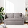 A gray sofa bed is shown in a well-lit room with a plant and a bookshelf in the background. Produktbild-Vorschau