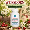 Weissdorn Weißdorn 360 Pulver Kapseln - Blätter Blüten Produktbild-Vorschau 5
