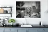 OneMillionCanvasses® - Leinwandbilder - 140x90 cm, Dackel Produktbild-Vorschau 4