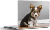 MuchoWow® Laptop Aufkleber Sticker Cover Ein Porträt eines Produktbild-Vorschau 1