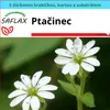 SAFLAX Dárková sada - Ptačinec - Stellaria media - 1000 Náhled obrázku produktu 4