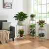A living room scene with several plant stands holding potted plants near a window. Podgląd zdjęcia produktu