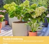Gardena Micro-Drip-System Set Balkon (15 Pflanzen) Produktbild-Vorschau 7