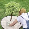 Bordure Garden Border 0645, 4,8 m, noire, 24 piquets Voir les images du produit 29
