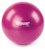 Palla da ginnastica Tiguar easyball TI-PEB025 Anteprima dell’immagine prodotto 1
