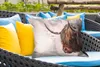 MuchoWow® Outdoor Kissen - Scottish Hochlandrind - Tiere - Produktbild-Vorschau 4