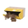 A cardboard box with a yellow interior, spilling out honeycomb-shaped fire starters. Produktbild-Vorschau