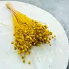 Flachs Getrocknete - (Leinen) - Gelb Produktbild-Vorschau 2