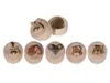 Milchzahndose Animals sortiert 76/0992 3,5x3,5cm Produktbild-Vorschau 4