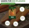 Möhren lange rote Stumpfe ohne Herz 2 Samen - Daucus carota Produktbild-Vorschau 3