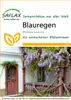 SAFLAX - Wisteria - Wisteria sinensis - 4 Semená Náhľad obrázku produktu 11
