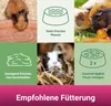 PANTO Meerschweinchenfutter Pellets 25kg Produktbild-Vorschau 4