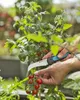 Gardena VeggieCut forbici da potatura Nero, Verde Anteprima dell’immagine prodotto 2