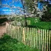 A wooden picket fence is shown in a grassy field next to a dirt path, with a flowering tree in the background. Produktbild-Vorschau