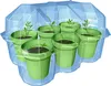 A clear plastic dome covers six small green pots, each containing a young plant growing in dark soil. The pots are arranged in two rows of three within a molded plastic tray. Produktbild-Vorschau
