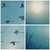 Bild auf Leinwand - Leinwandbild - Storch Vogel Natur - Produktbild-Vorschau 8