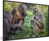 MuchoWow® MuchoWow® Gerahmtes Poster Affe - Gras - Tiere Produktbild-Vorschau 1