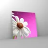 Bilder auf glas - Blume frühling garten - 30x30cm - Produktbild-Vorschau 4