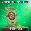 Stoxser 150 x Zahnstocher mit Geschmack Mint / Menthol die Produktbild-Vorschau 3