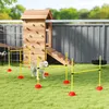PawHut Agility Set: 4-delige agility-uitrusting voor Productafbeelding-voorbeeld 2