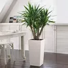 LECHUZA Pot de plantes CUBICO Color 30 Blanc | Pot de Voir les images du produit 27