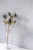 NEWROOM Tapete Ashy 04 Grau Vliestapete - Uni Unifarbe Produktbild-Vorschau 2
