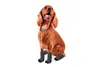 Karlie Doggy Socks schwarz-grau, Größe: S Produktbild-Vorschau 7