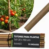 Tutor para plantas Garden KBT 1500/16-18 mm, bambú, paquete Vista previa de la imagen del producto 1