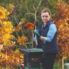 Bosch AXT 22 D - Schredder - elektrisch Náhled obrázku produktu 2