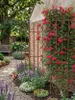 SET 3x Rankgitter 150 x 36 cm Rost - Rankhilfe Garten - Produktbild-Vorschau 2