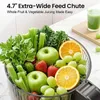 ZELURXX, extractor de jugos lento de 250W, 3 en 1: ideal Vista previa de la imagen del producto 3