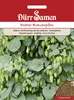Echter Brauhopfen | Brauhopfensamen von Dürr Samen Produktbild-Vorschau 3